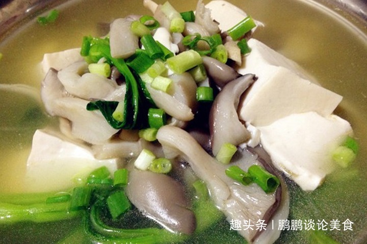 教你蘑菇豆腐汤的做法，喝起来不仅汤鲜味美而且还开胃下饭