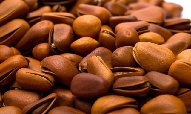 路边随手捡的松果,只需简单2步,让它变成客厅最美风景