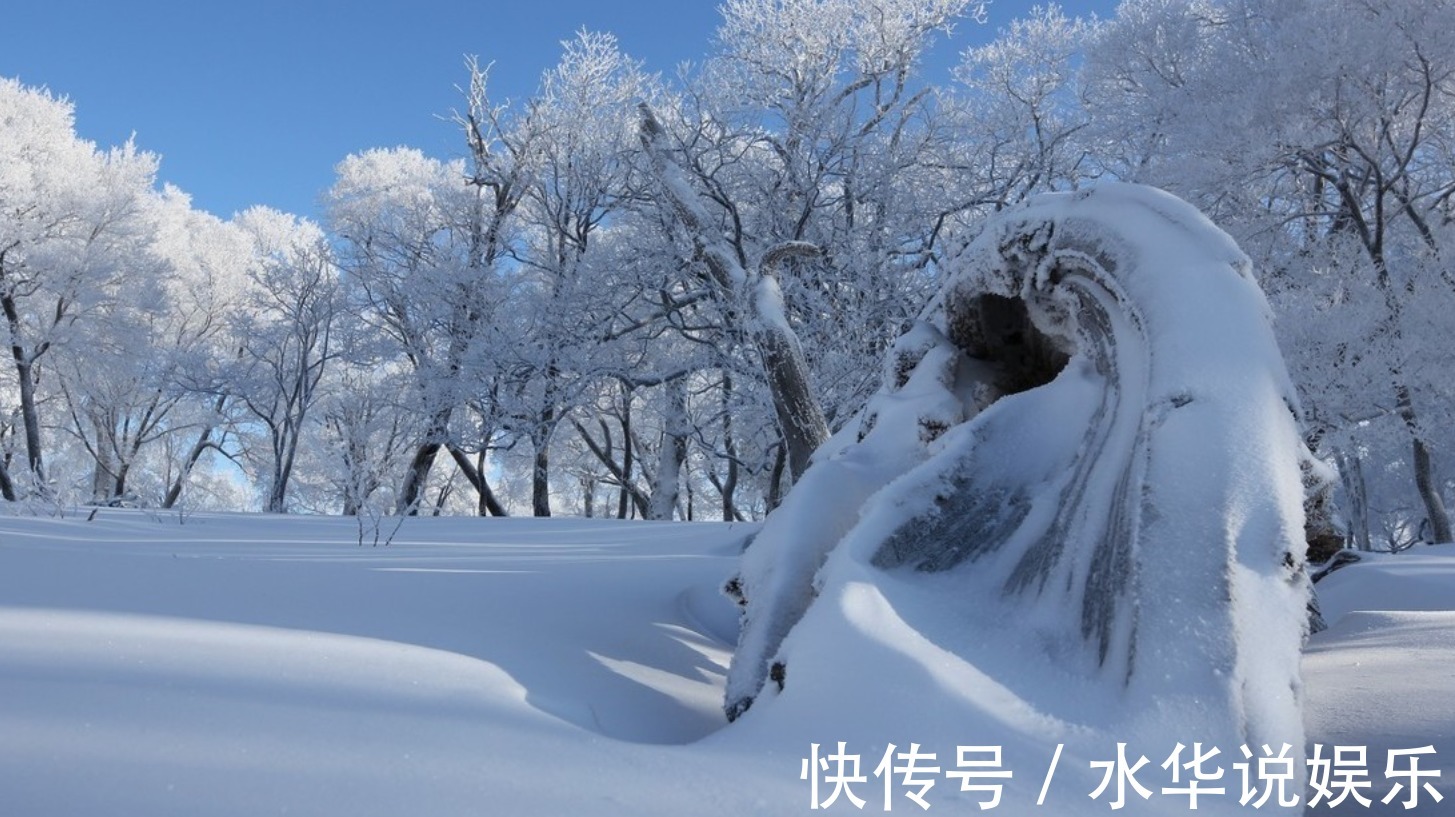 养胃|冬季养生怎么吃中医5种厨房常见食材,养胃又补胃