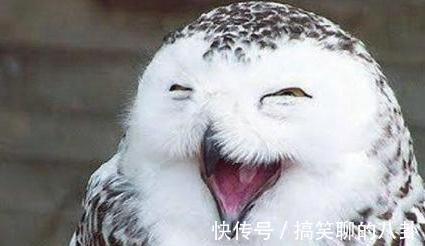 |搞笑段子:受不了医院工作要辞职,原因竟是以前是品酒师