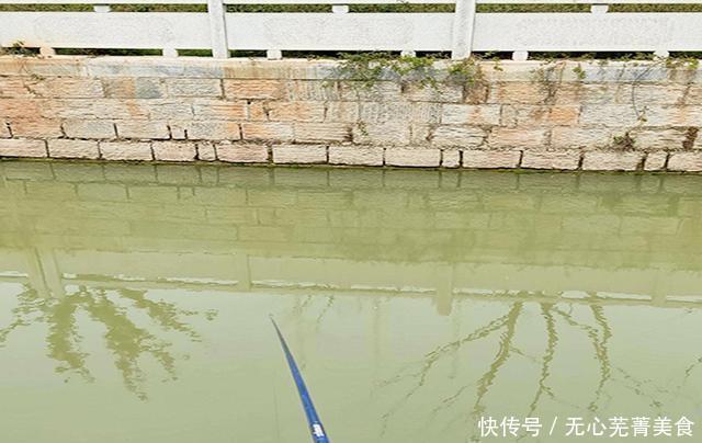 添加剂|要想自制打窝米效果好,建议先把这几个问题搞明白