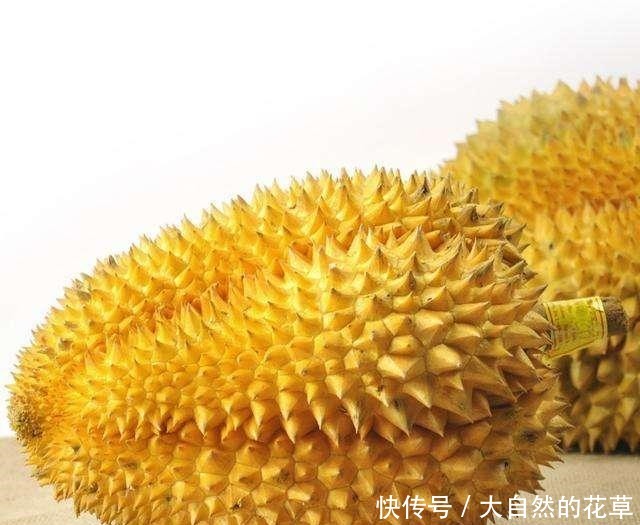 买榴莲时,牢记这3个小诀窍,保证买到的榴莲软糯又香甜,皮还薄