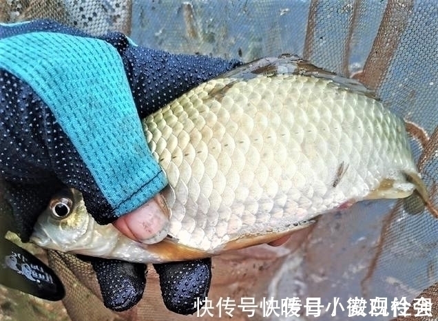 飞铅|野钓时调四钓二与调平钓二,哪种调漂方法更好?