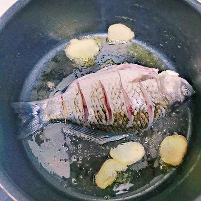 冻豆腐|鲫鱼豆腐汤