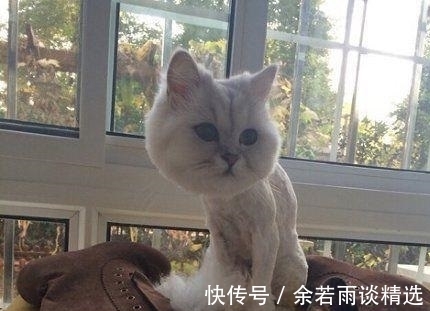 |幽默笑话：今天和媳妇在宜家家居闲逛，媳妇在看各种柜子……