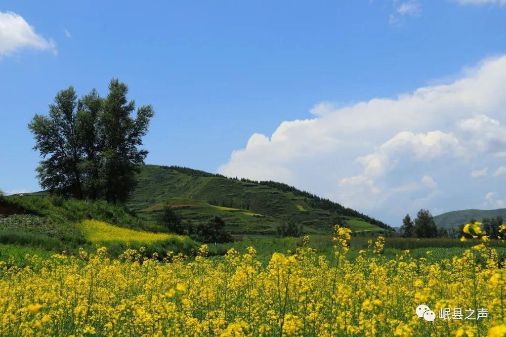 岷县的春夏秋冬，看不够！