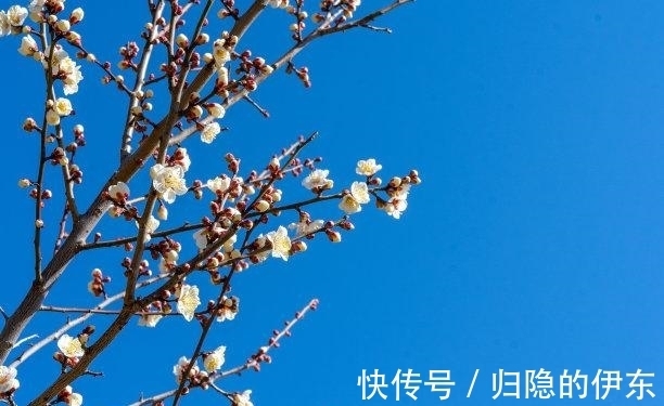 复苏|近几天，旧情复苏，真爱降临，旧情复苏，甜蜜再续，再续前缘