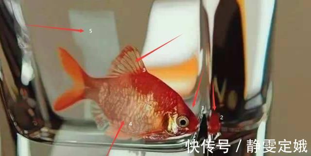 超写实主义!他画了一条金鱼,放大5倍后,网友大呼:相机可以扔了