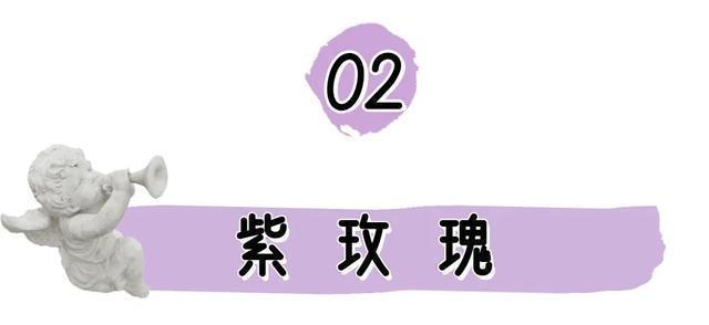  显白|2020秋冬5大流行色来了！第3个超级显白