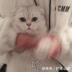 这个只要3块钱的好物，我要一辈子回购！好用哭！