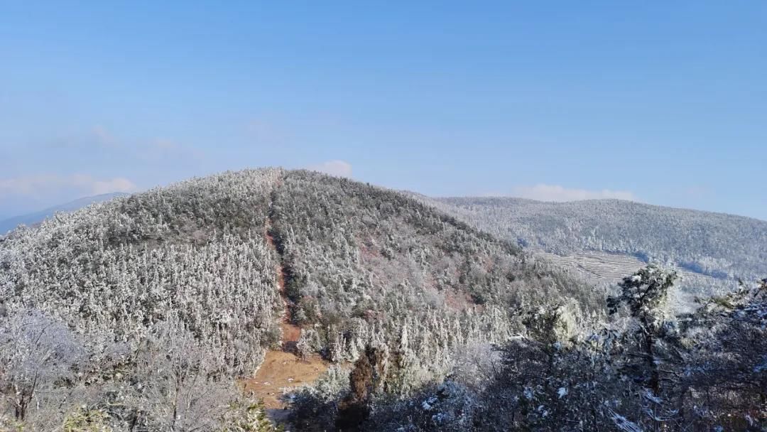 雾凇|绝了！天台冬季美景，宛如冰雪世界！一天看8小时都不够!