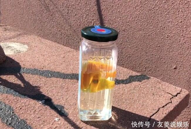 花盆里滋生小虫子怎么办花卉市场老板教我一招,虫子不再有!