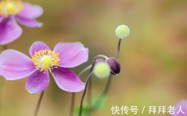 4星座|未来一周，财源广进，事业节节高升，升职加薪，顺心如意的4星座