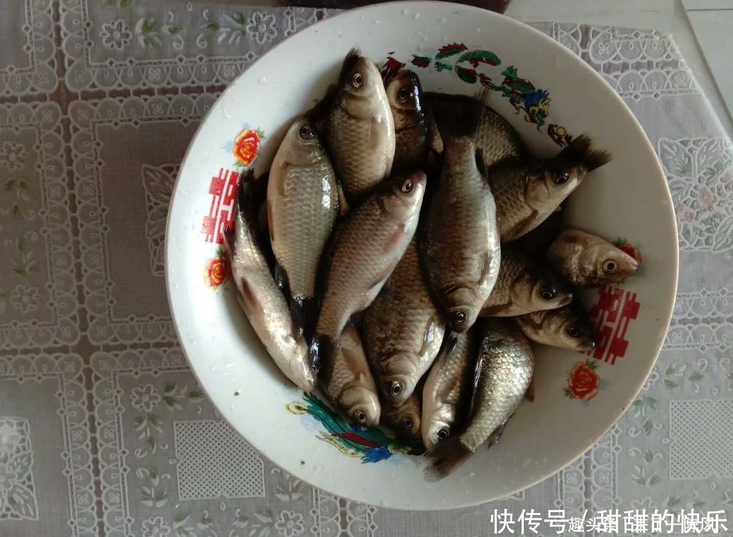 夏季|夏季到来,夜钓的人多了,夜钓要注意这五点