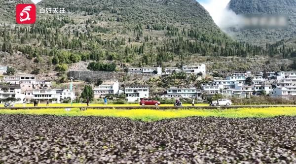 万峰林|听说好多地方都在下雪？贵州这里的春天早就来了