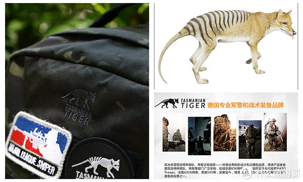 molle|硬派军包的民用体验,塔虎TT突击背包MKIII45L背包的一家之言
