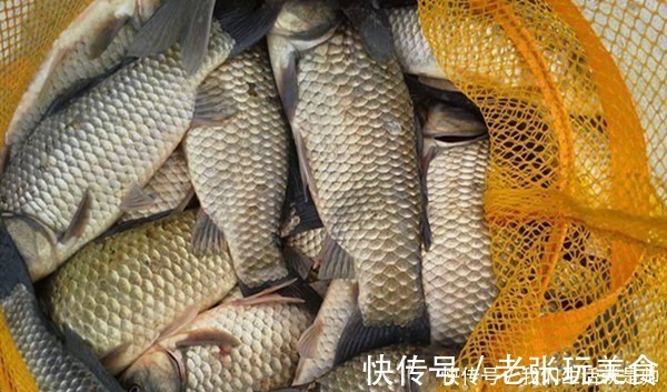 饵料|冬钓大鲫鱼,蚯蚓饵料的升级用法,鱼咬钩更猛,万能钓饵不是盖的