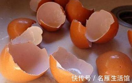 厨房2种废渣是天然花卉增长素，1把扔盆里，养啥都旺