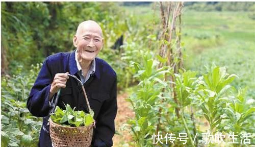 健康长寿|长寿之人,多有“1清2勤3小”的特点,若你也是,提前恭喜了