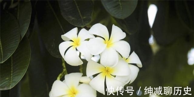 为人处世#内心强大的人,为人处世时,往往遵循这四条法则