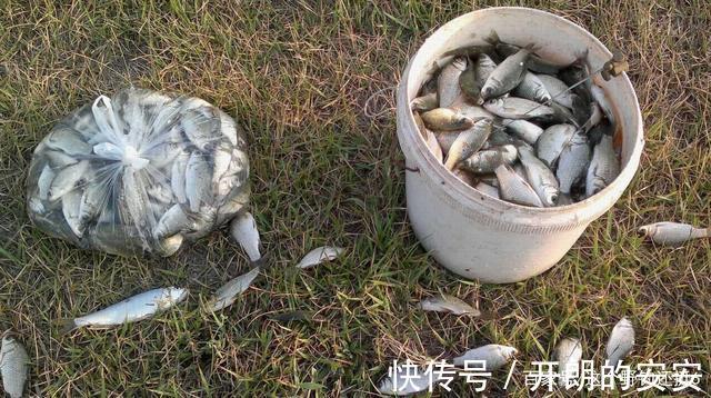 现在钓鱼人是最好骗的时候,为钓鱼舍得花钱,但别缴智商税