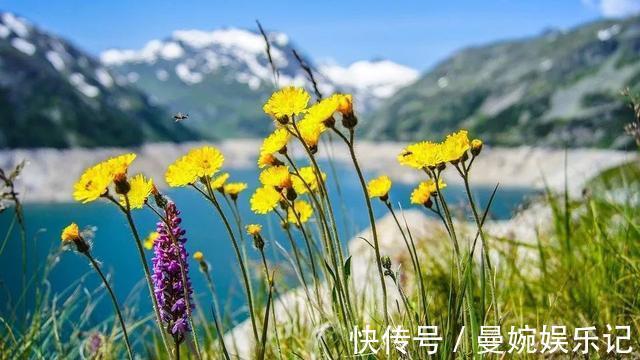 肌瘤|增生、结节、肌瘤、囊肿、肿瘤：介绍一个中成药