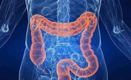 肾脏|经常在家便秘了,不想用开塞露怎么办?3个调理办法通便效果好