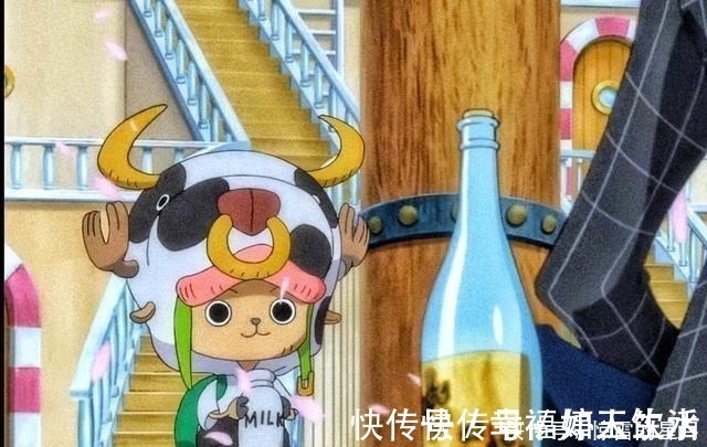 乔巴|可爱萌宠,海贼王中4只会说话的动物,乔巴赏金还是最低!