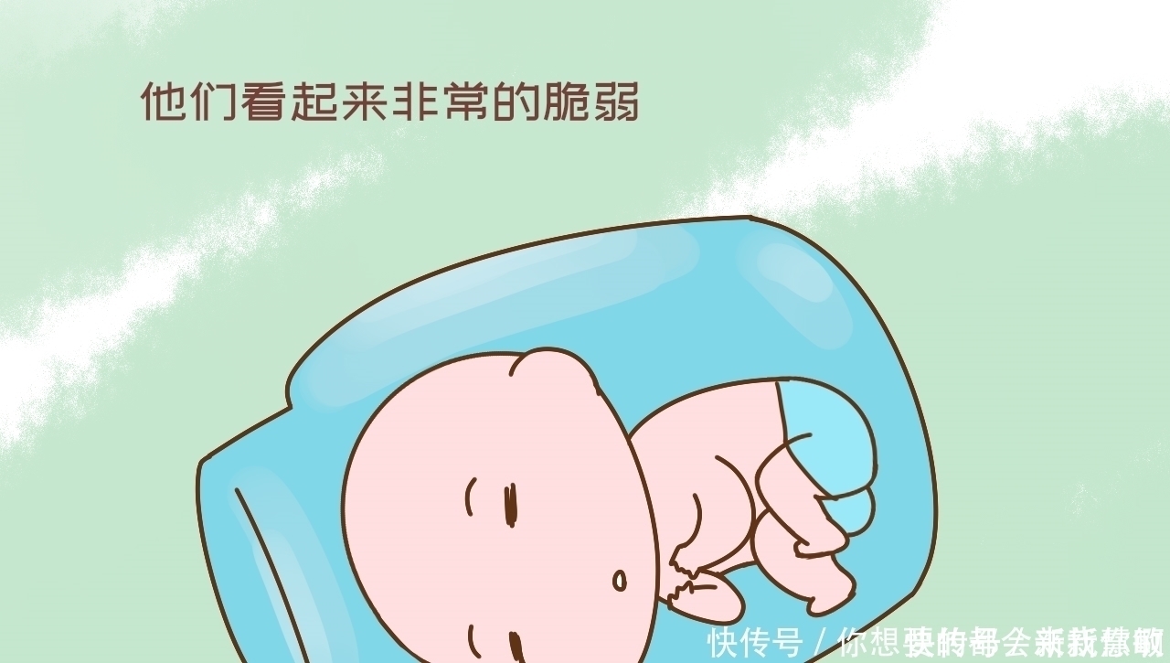 关键期|育儿专家:孩子大脑发育“关键期”,一年顶十年,错过不再有