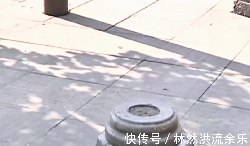 井水|章华寺有口“谜”一样的古井,僧人下去清淤,还在井底发现了秘密