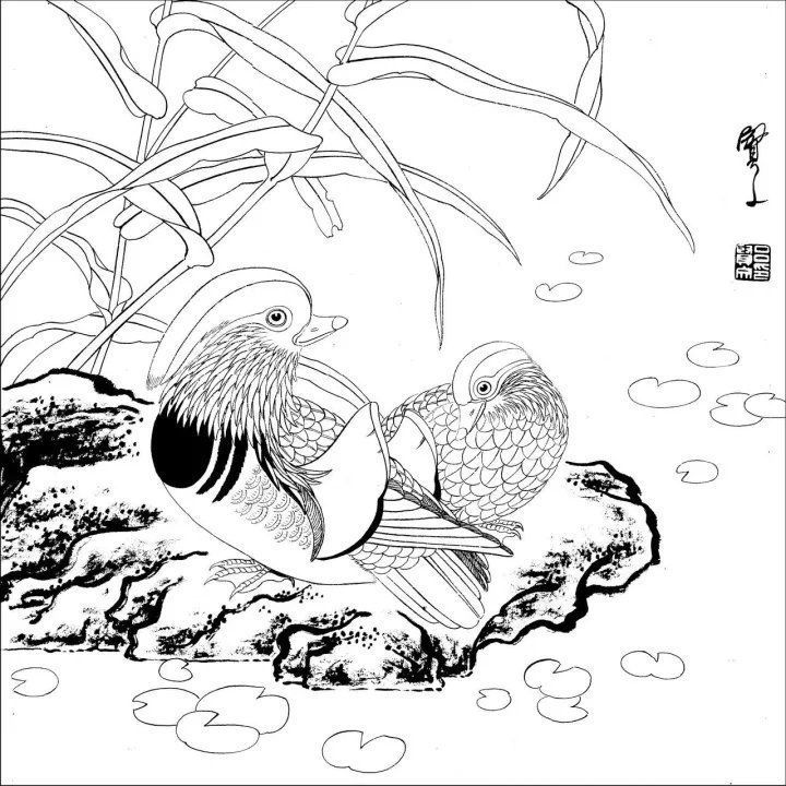资料集|王道良实用花鸟白描资料集