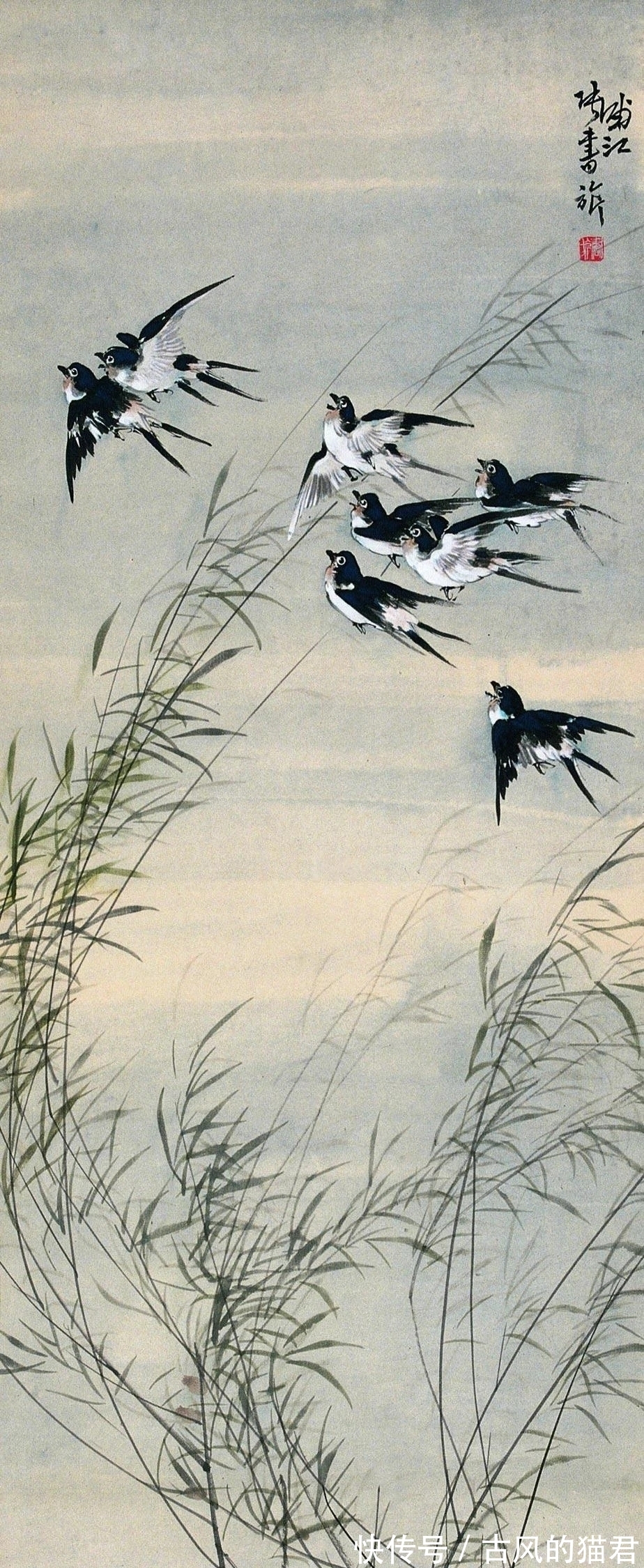 花鸟画!独特的魅力|张书旂花鸟画