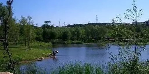 秋季鱼口好,钓位难寻?不妨试试这三招,不用打窝也能爆连