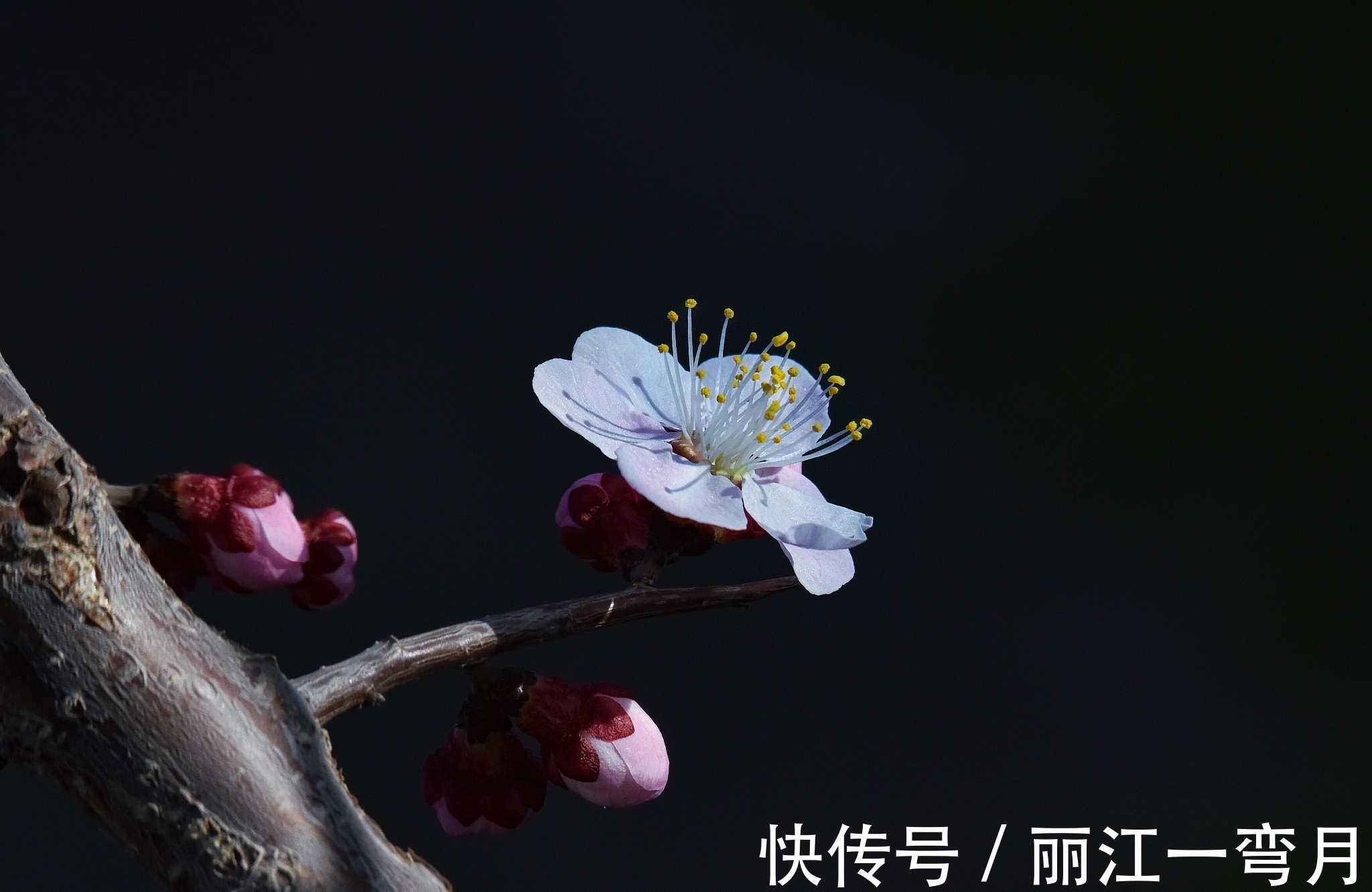 王国维@岁月不堪数,故人不知处,最是人间留不住