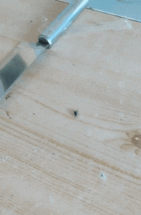 |搞笑GIF:虽然知道笑别人不好 但我实在是没忍住