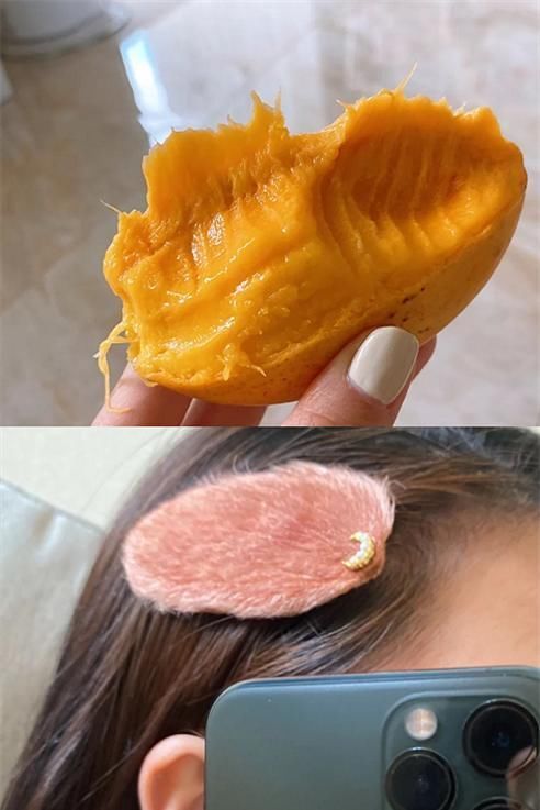 发箍|芒果做的发夹,火龙果做的发夹,看到榴莲发箍免费送吗