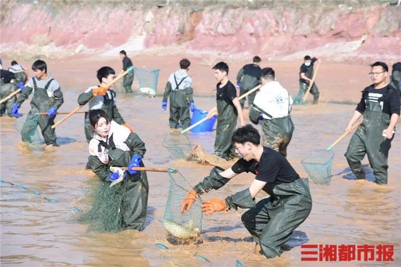 又是别人家的！湖南这所学校捞鱼请学生免费吃