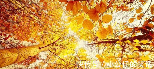 嵌字诗|今天9月9日,如此才华横溢的诗,你见过吗?绝!太绝了!