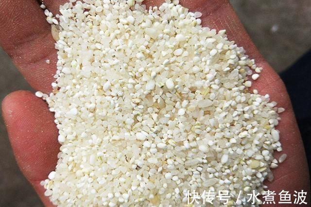 钓友们|自制酒米鱼不吃不是鱼“挑食”,问题出在这些地方