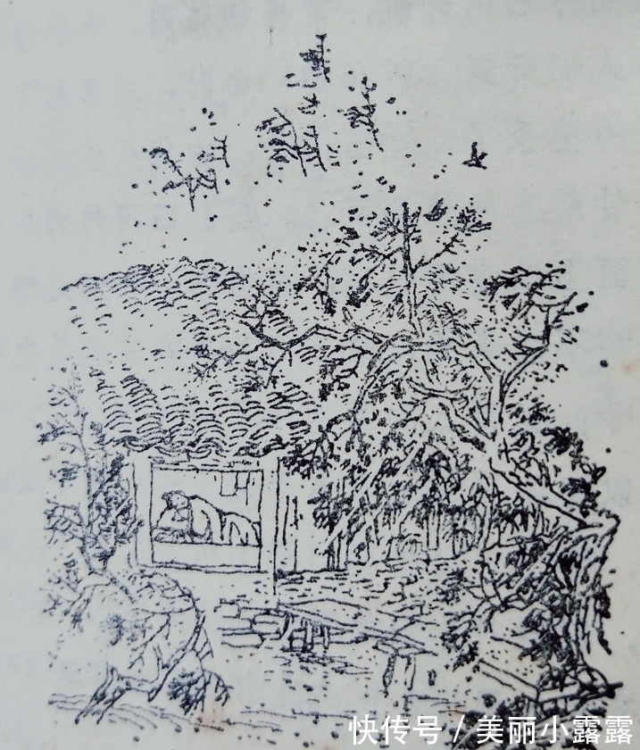 春晓&孟浩然:春眠入画境,泊舟溢诗情|唐宋绝句欣赏③