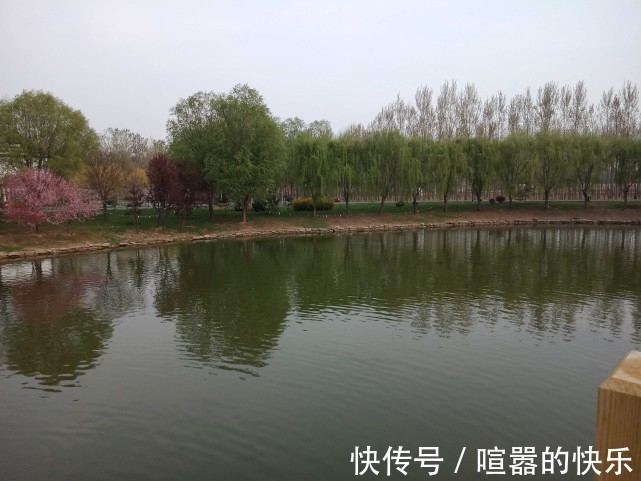 |搞笑段子:女朋友一直追我!