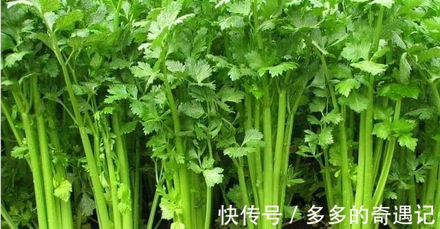 炒芹菜,要不要焯水大厨告诉你,这才是炒芹菜的正确吃法!