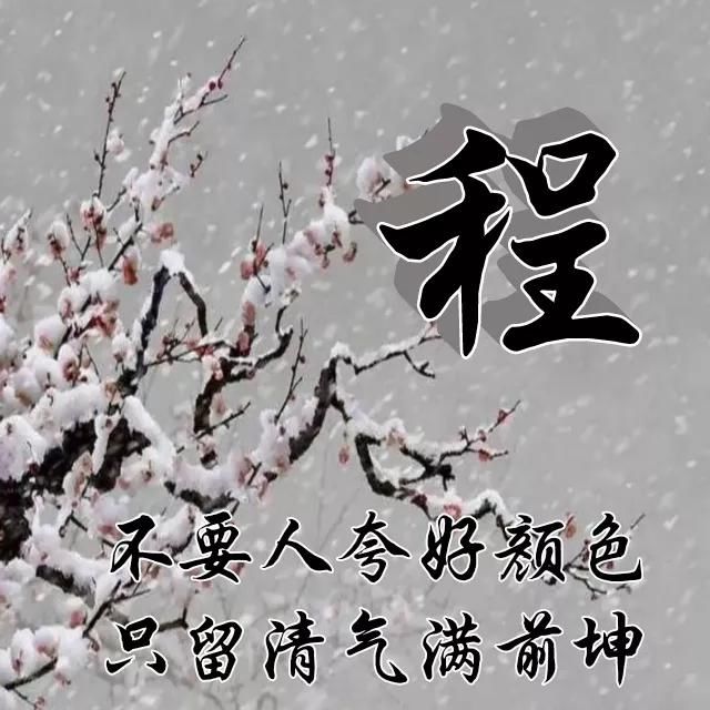  红梅|红梅花儿开，朵朵放光彩，千里冰霜脚下踩