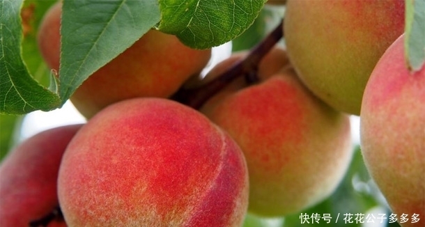 女性45岁后多吃“祛斑”食物,淡斑祛斑美白,排毒养颜防早衰