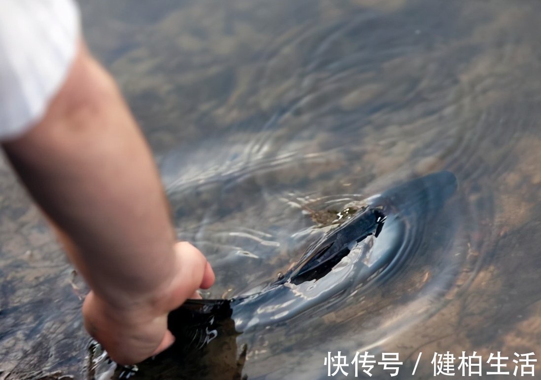 铒料|钓鱼之前的准备工作,有很多是你想不到的,快来看看