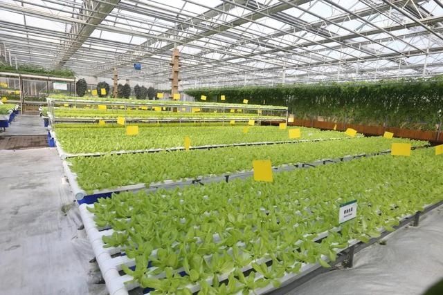 又一打卡地!快来长春农博园赏美景、购好物