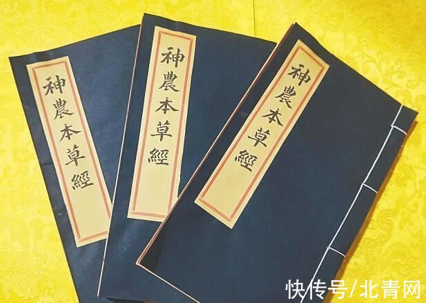 半盏新茶启新火