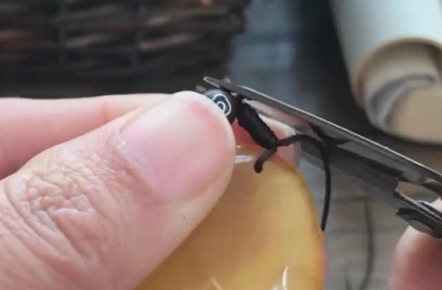 吊坠孔小只穿一根绳怎么打结？教程图解，简单易学