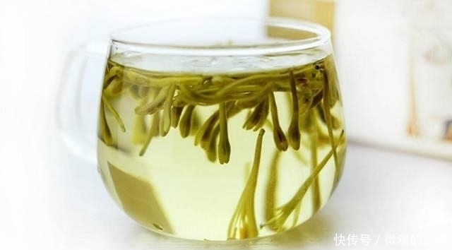 养几株对身体好的花草，除了欣赏，还能食疗，堪称阳台小药箱
