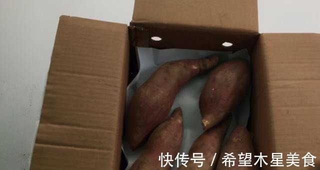 原来保存红薯这么简单!教你一招,放1年不烂不发芽,还软糯香甜!